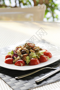 沙拉鸡肉西红柿和橄榄放在图片