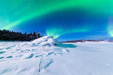 壮观的北极光或北极光或极光在白雪皑的冬季景观上图片