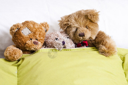 房间里床上的泰迪熊图片