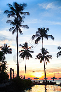 热带海滩度假胜地的日落图片