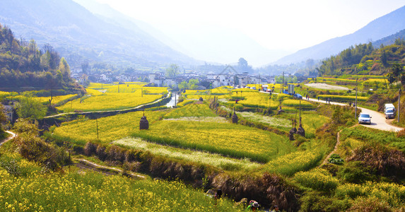 江西省婺源的乡村景观图片
