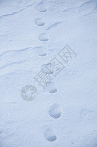 雪细节和形状的图像图片