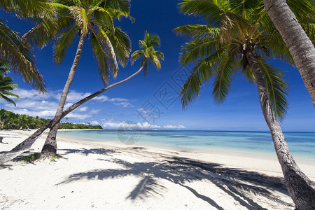 斐济岛上的热带天堂图片