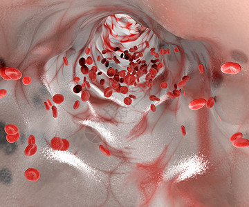 红血细胞静脉和通图片