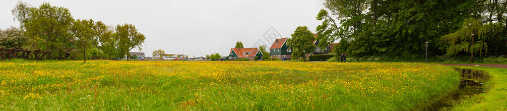 Meadow和老杜奇村的房子黄色花朵灰色的云图片