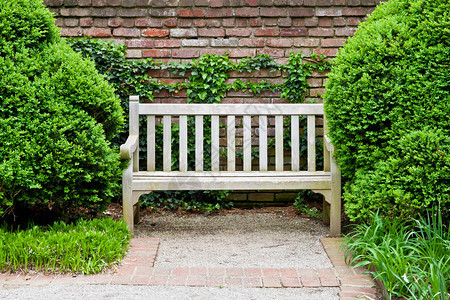 绿色正式花园的长凳图片