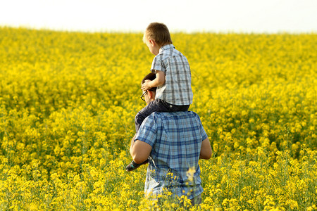 父亲带着儿子在黄色的田野里图片