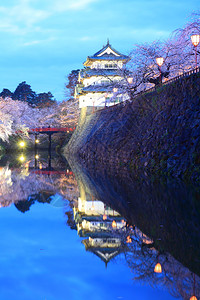 弘前城的灯火和樱花青森日本图片