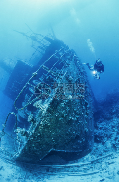 苏丹红海沉船潜水图片