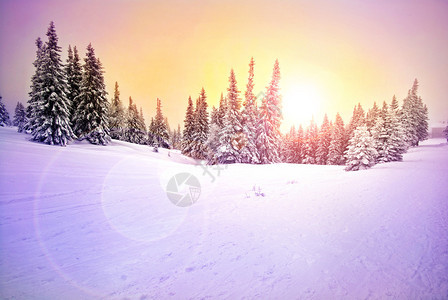 与雪的冬天风景图片