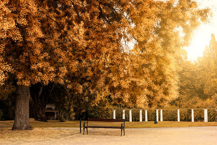 秋季公园长椅图片