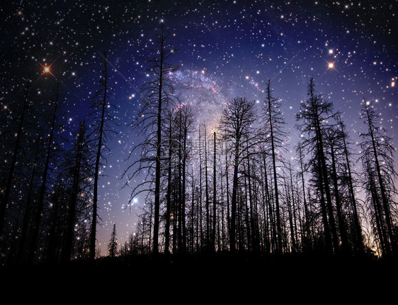 诸天宣扬神的荣耀远处有一片星域映衬的森林星图由NASA和图片