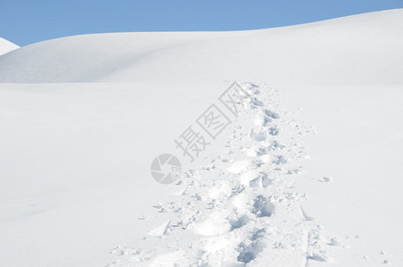 雪上脚步图片