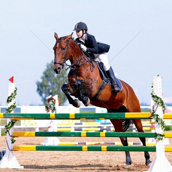 马术表演跳跃克服障碍骑马的女员一匹红马上的女骑士马术骑马赛马图片