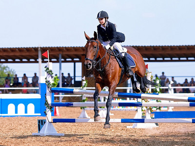 马术表演跳跃克服障碍骑马的女员一匹红马上的女骑士马术骑马赛马图片