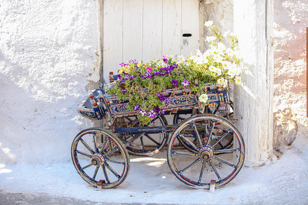 在希腊的Cycrade村Emporio村街上装饰鲜花图片