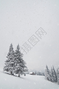 冬季景观与山和降雪的房子猎人乌克兰图片