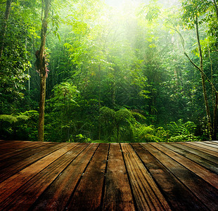 木地板透视和带有光线的绿色森林图片