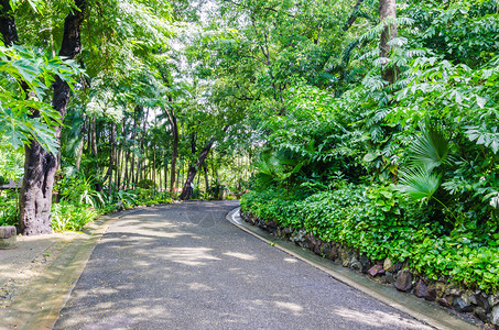 花园公的石小路图片