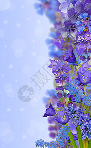 蓝色花朵的花条图片