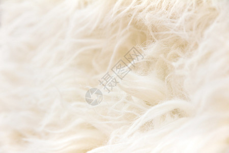 棉毛背景图片