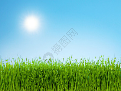 在阳光明媚的一天绿色草地与明亮蓝图片