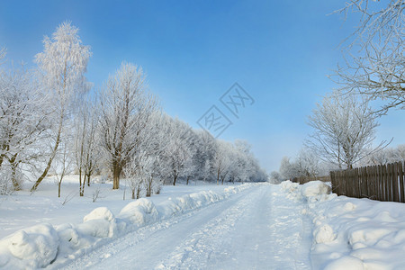 冬季风景布满积雪图片