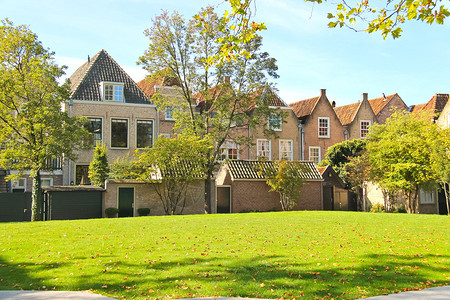 荷兰Dordrecht市住房前面的草坪图片