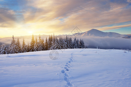 冬季风景和山中日出的冬天雪中的路径喀尔巴阡山脉图片