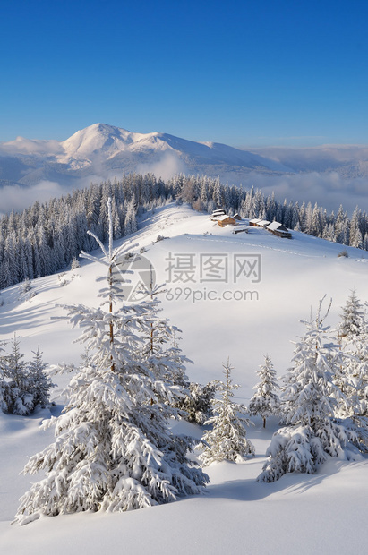 山谷牧羊人村的冬季风景雪地漂流中的树木喀尔巴阡山脉乌克兰欧洲佩图片