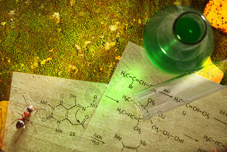 绿色化学与苔藓反应式图片