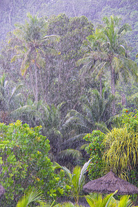 塞舌尔强热带降雨图片