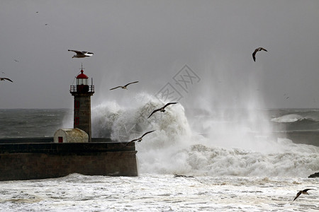 葡萄牙海岸暴风雨图片