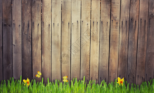 旧棕色木质栅栏草水仙木本的蝴背景图片