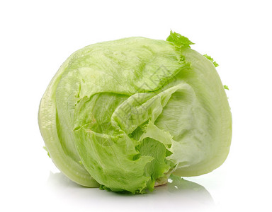 大白菜白色背景上的绿色卷心莴苣背景