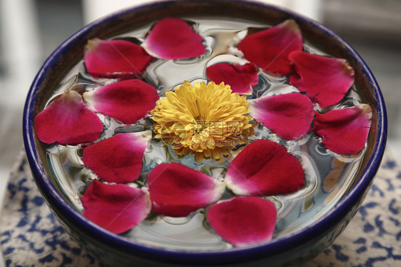 印度拉贾斯坦邦斋浦尔玫瑰花瓣在一图片