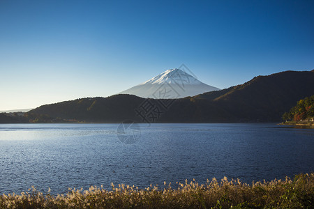 湖景富士山图片