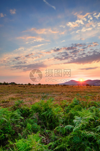 夏日落有粉色和蓝色的天空还图片