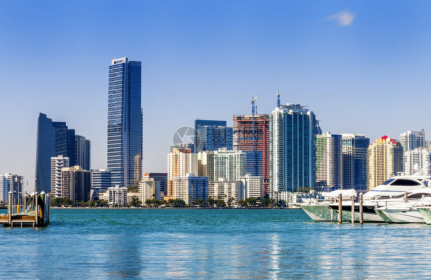 迈阿密风暴席卷联盟