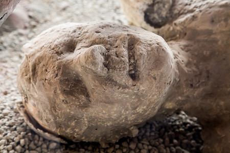 古代庞贝城的人类遗骨图片