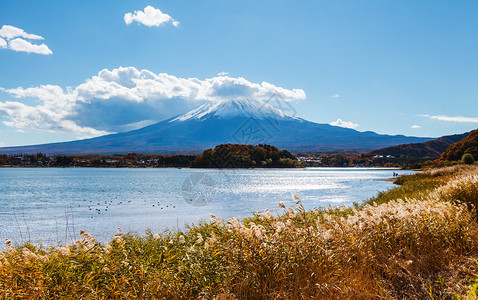 富士山和河口湖图片