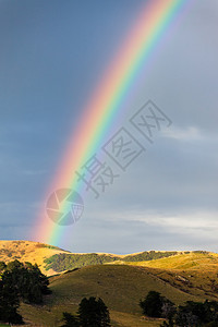 奥塔哥半岛上的彩虹图片