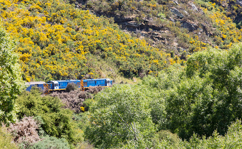 两辆柴油发动机火车头拉着塔耶里峡谷上游旅铁路图片