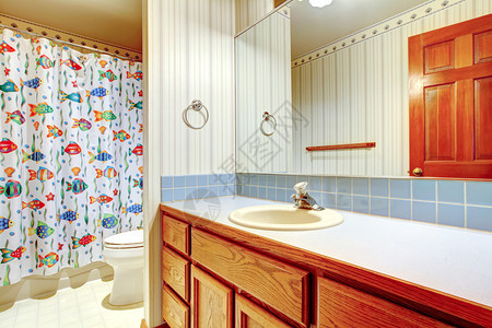 带镜子的洗手间木壁橱背景是快乐图片