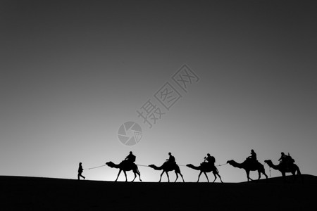 骆驼商队穿过黑白沙漠图片