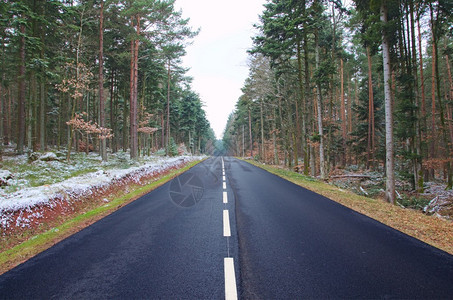 黑森林的一条路在雪林之间运行显示时间图片