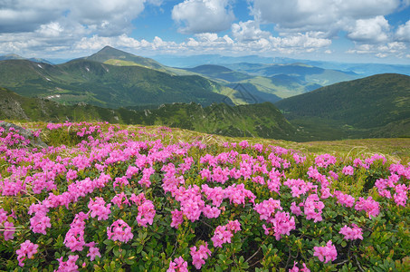 夏季山地风景图片