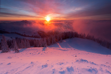 冬天五颜六色的日出在云层上冷杉满是雪图片