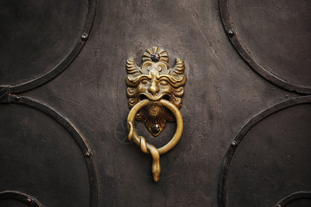 铁门上有狮子的门环图片