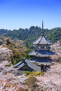 吉野山日本金峰山寺宝塔图片